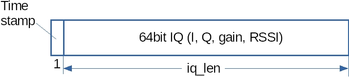 IQ information format